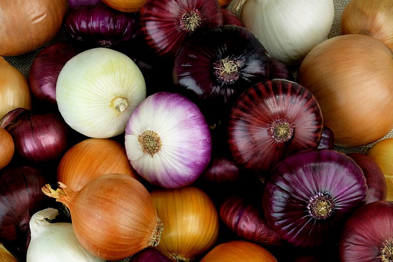 Read more about the article Onions 101